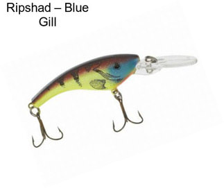 Ripshad – Blue Gill