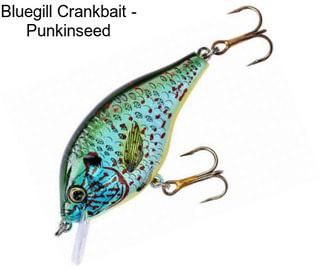 Bluegill Crankbait - Punkinseed