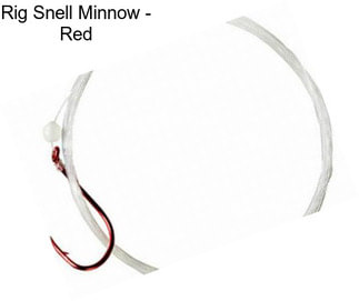 Rig Snell Minnow - Red