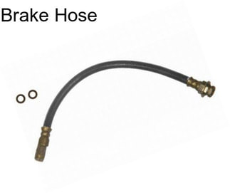 Brake Hose