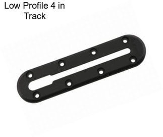 Low Profile 4 in Track