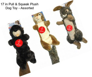 17 in Pull & Squeak Plush Dog Toy - Assorted