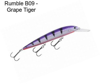 Rumble B09 - Grape Tiger