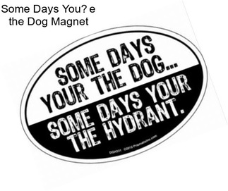 Some Days You�e the Dog Magnet