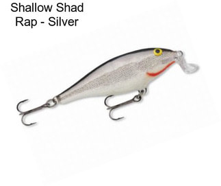 Shallow Shad Rap - Silver