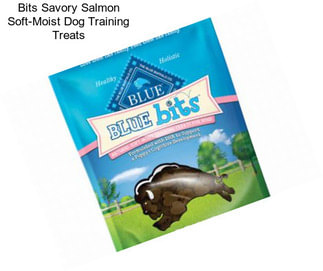 Bits Savory Salmon Soft-Moist Dog Training Treats