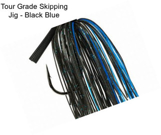 Tour Grade Skipping Jig - Black Blue