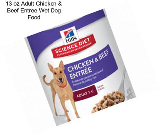 13 oz Adult Chicken & Beef Entree Wet Dog Food