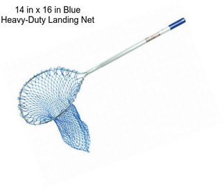 14 in x 16 in Blue Heavy-Duty Landing Net