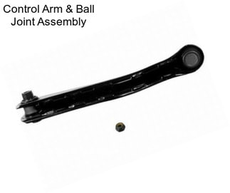 Control Arm & Ball Joint Assembly