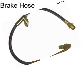 Brake Hose