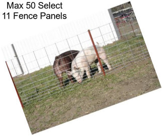 Max 50 Select 11 Fence Panels