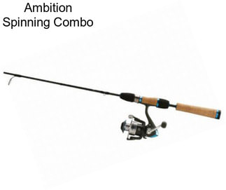 Ambition Spinning Combo