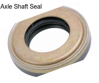 Axle Shaft Seal