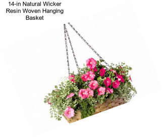 14-in Natural Wicker Resin Woven Hanging Basket