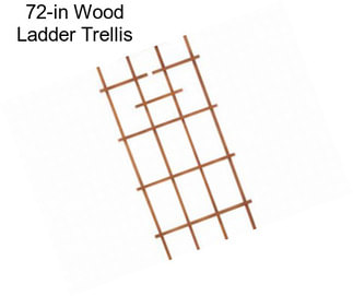 72-in Wood Ladder Trellis