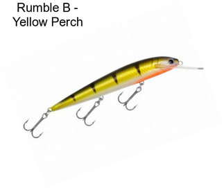 Rumble B - Yellow Perch