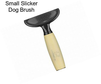 Small Slicker Dog Brush