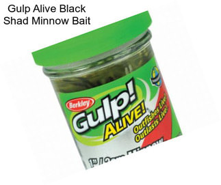 Gulp Alive Black Shad Minnow Bait