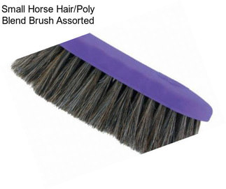 Small Horse Hair/Poly Blend Brush Assorted