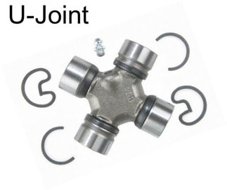 U-Joint