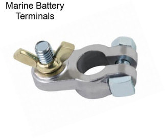 Marine Battery Terminals