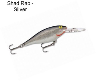 Shad Rap - Silver