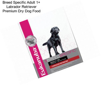 Breed Specific Adult 1+ Labrador Retriever Premium Dry Dog Food