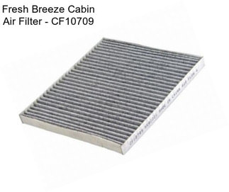 Fresh Breeze Cabin Air Filter - CF10709