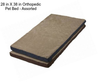 28 in X 38 in Orthopedic Pet Bed - Assorted