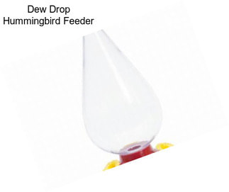 Dew Drop Hummingbird Feeder