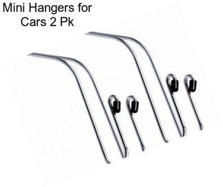 Mini Hangers for Cars 2 Pk