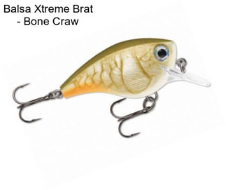 Balsa Xtreme Brat - Bone Craw