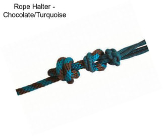 Rope Halter - Chocolate/Turquoise