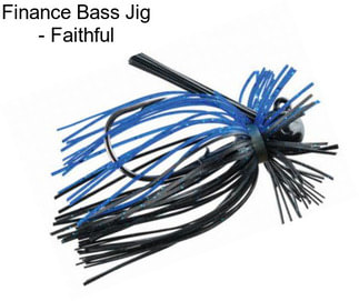 Finance Bass Jig - Faithful