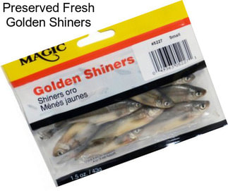 Preserved Fresh Golden Shiners