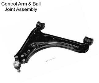 Control Arm & Ball Joint Assembly