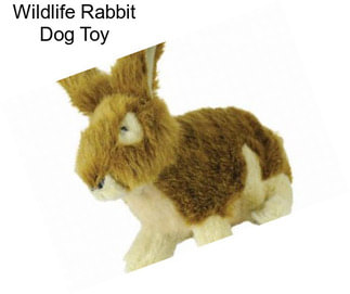 Wildlife Rabbit Dog Toy