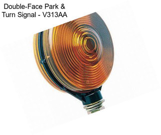 Double-Face Park & Turn Signal - V313AA