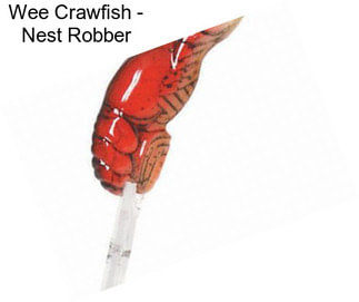 Wee Crawfish - Nest Robber