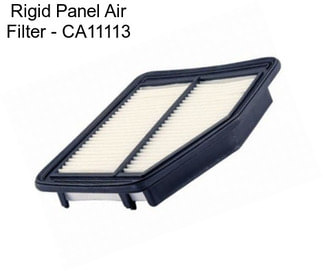 Rigid Panel Air Filter - CA11113