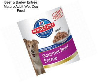 Beef & Barley Entree Mature Adult Wet Dog Food