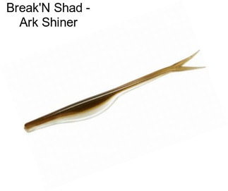 Break\'N Shad - Ark Shiner