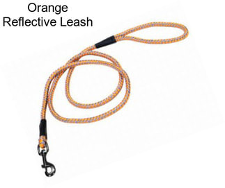 Orange Reflective Leash