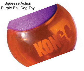 Squeeze Action Purple Ball Dog Toy