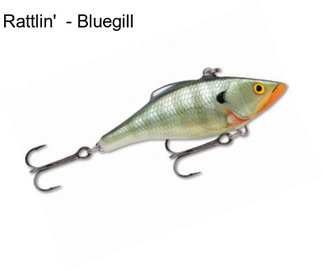 Rattlin\'  - Bluegill