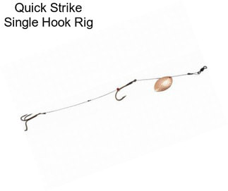 Quick Strike Single Hook Rig