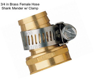 3/4 in Brass Female Hose Shank Mender w/ Clamp