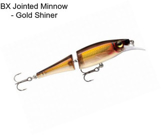 BX Jointed Minnow - Gold Shiner