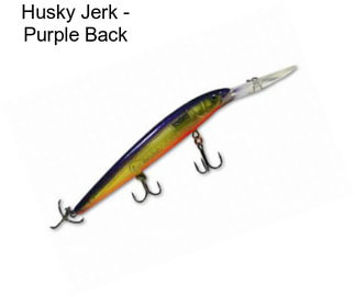 Husky Jerk - Purple Back
